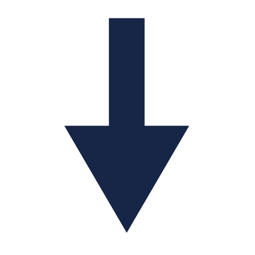 Down Arrow Icon